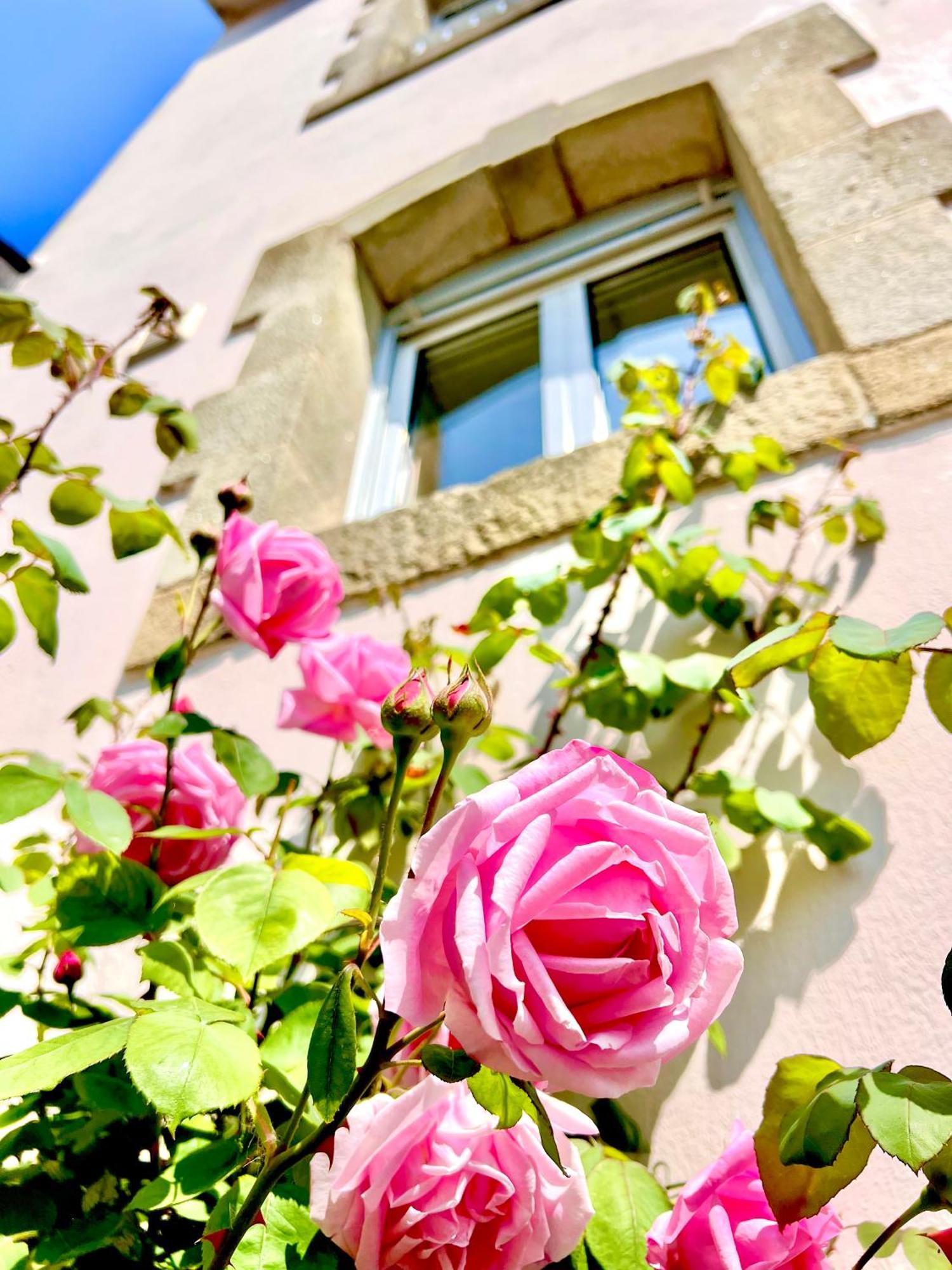 Glaz Ocean Apartment Douarnenez Exterior foto