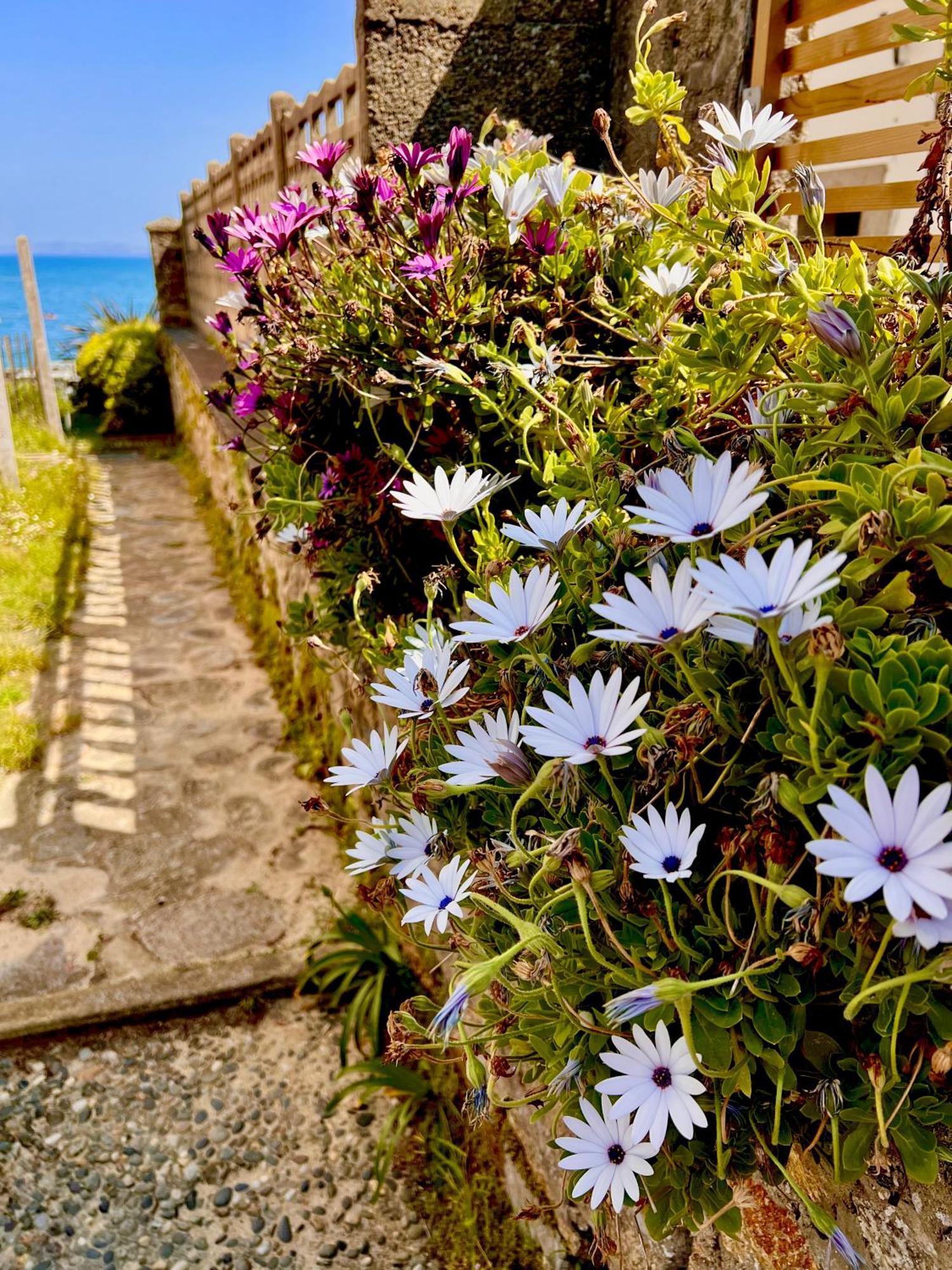 Glaz Ocean Apartment Douarnenez Exterior foto